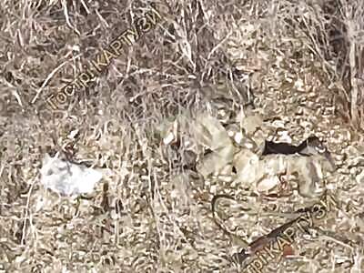 Many grenades dropped on Russian fascists.