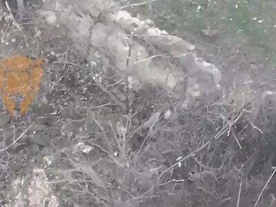 Russian invader self removal.