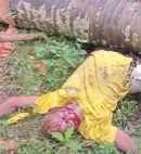 (full video) man crushed by tree