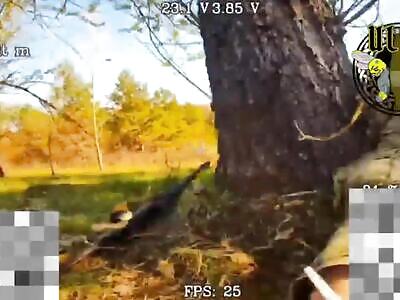 AFU serviceman tried to pretend to be a tree, but it didn’t work.