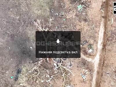 Smoking out crests from bungalow