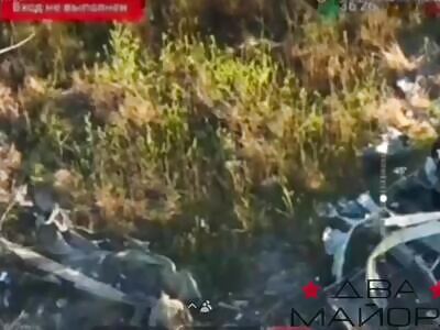 The last poop of a soldier