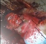 Aftermath of a man brutally murdered with a machete 