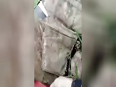 Little Ziglet is crying like a bitch.