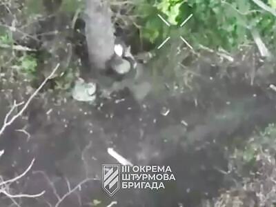 Some FPV strikes by the 3rd Brigade.