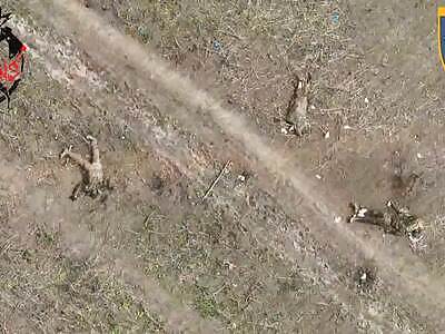 Extermination of Russhits. (high quality)