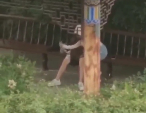 University Girl sips her Drink while giving BJ on a Bench 