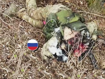 Vitaly Loses His Mind during Coffee Break