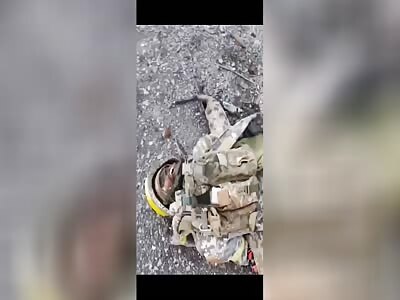 fresh selection of sexy ukrops from frontlines