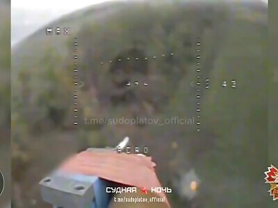 Teamwork with FPV drones 