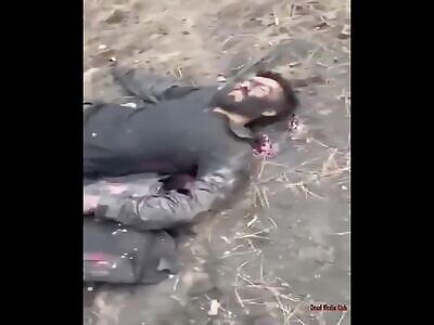 Cartel: Power & Violence