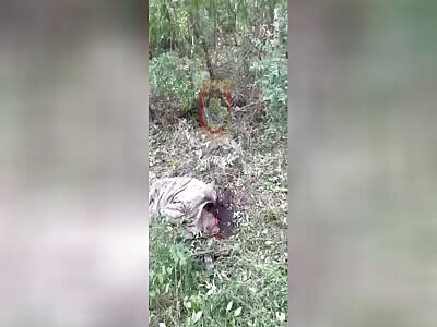 Breakthrough attempt failed!!!