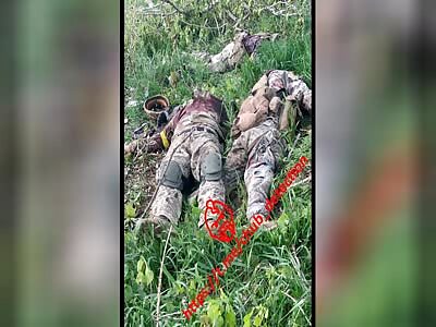 Cool pictures from the war (Gore Edition)