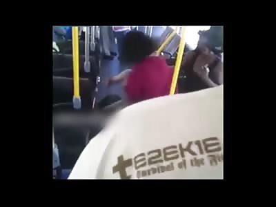 2 fights which involve white and blacks