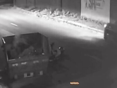 fatal crash into a dumpster