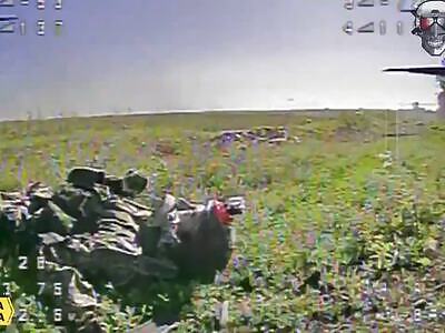 FPV strikes by UA_REG TEAM. Compilation.