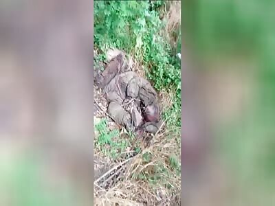 Dead vatniks everywhere