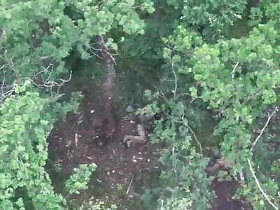 A group of Russian migrants got lost in Ukraine.