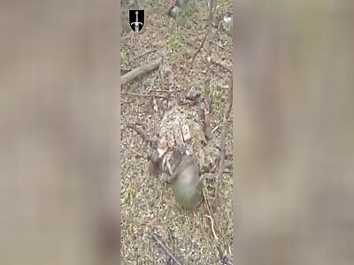 Russian scouts got lost in Sumy.