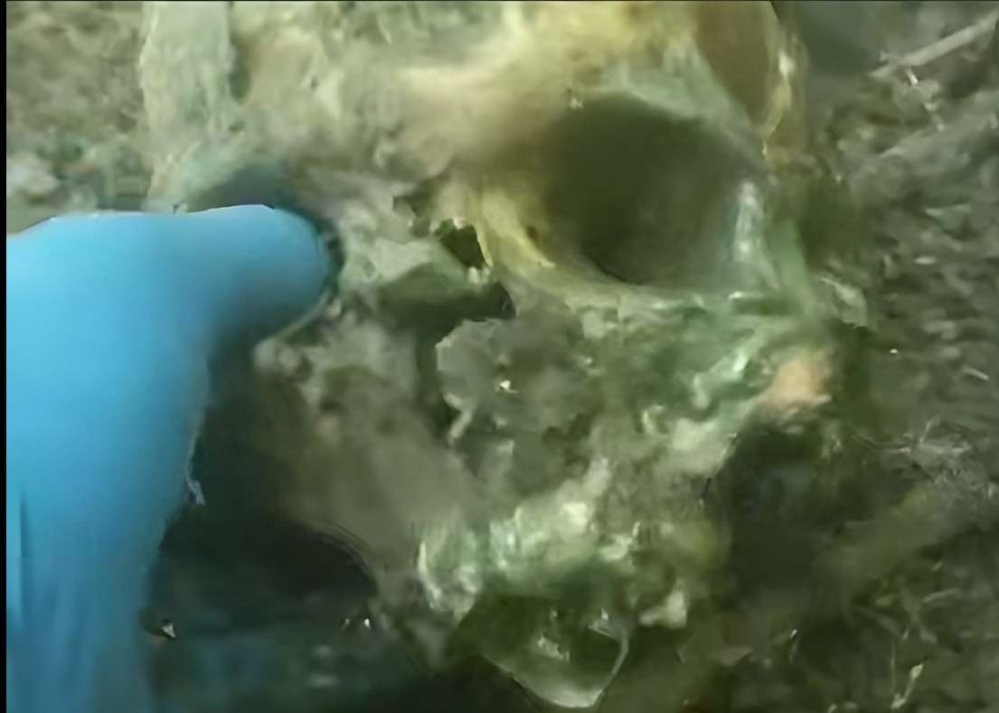 Russian handling a very rotten Ukrainian. 