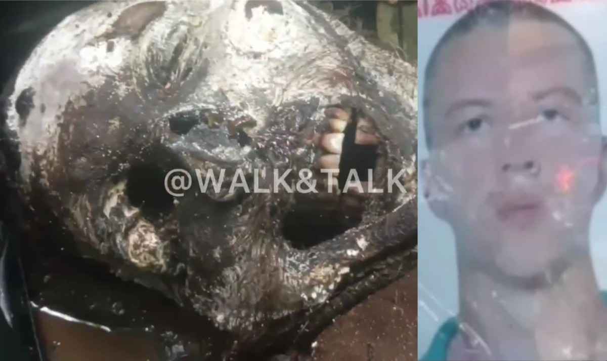 Purebred Hohol (Before/After)