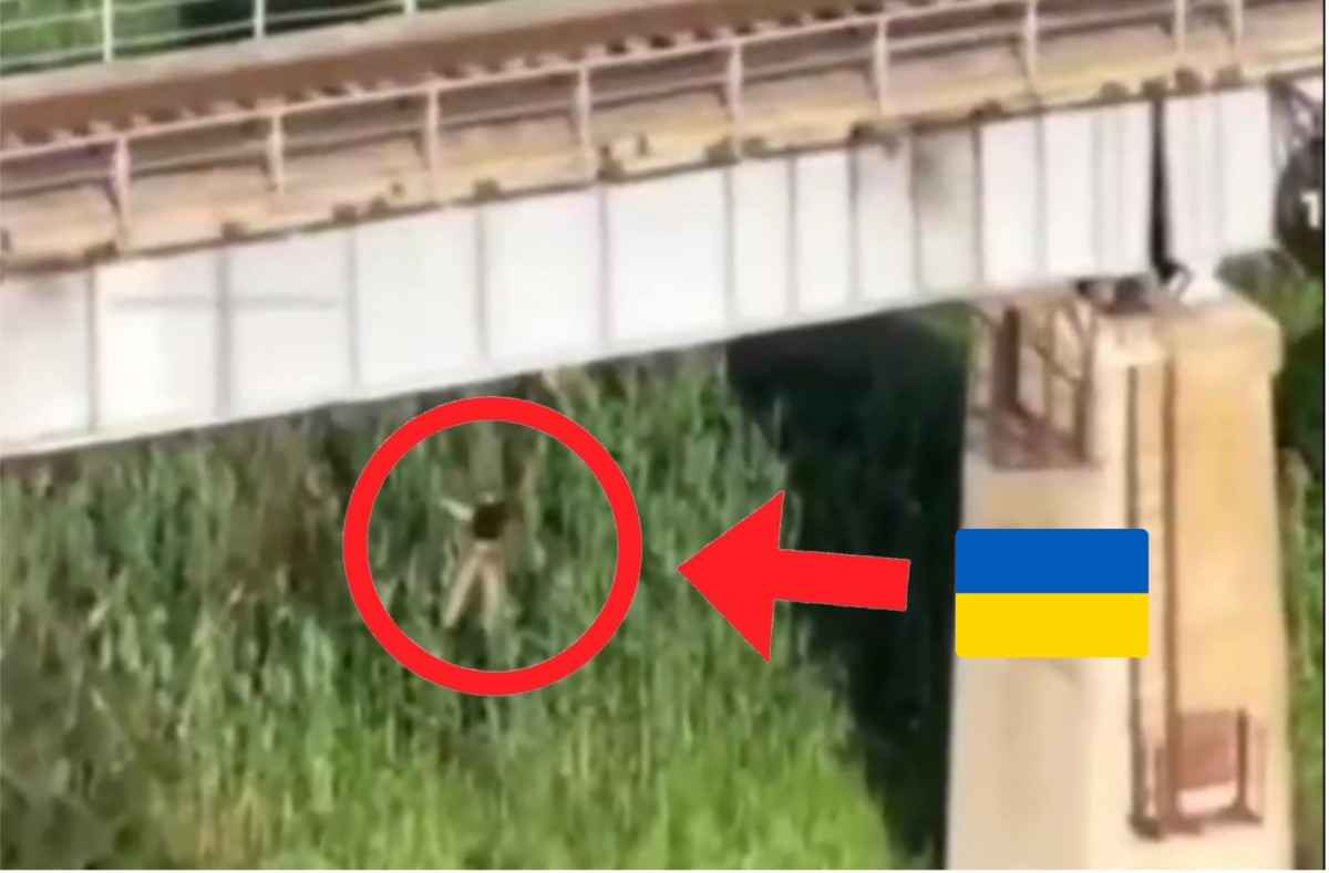 Not-so-smart Ukrainian falls off a bridge + Die