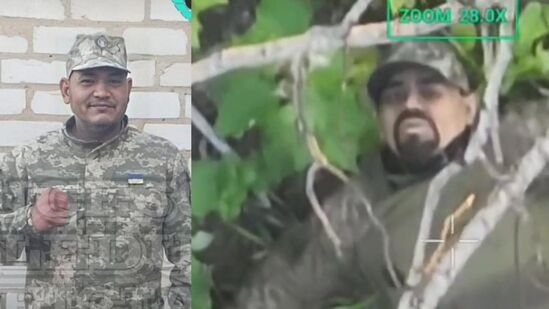 The inglorious end of the Colombian macaque+ speed ticket