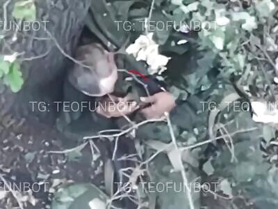 A soldier blew himself up with a grenade