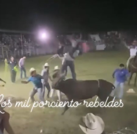 FUCK, bull turns man into rag doll