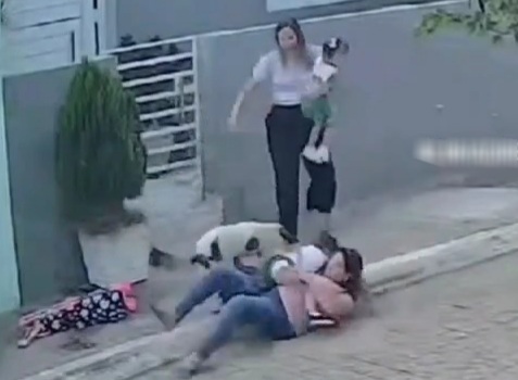Mother and her little baby horrifically attacked by a pitbull 