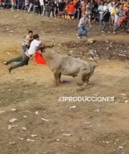 new bull avengers compill