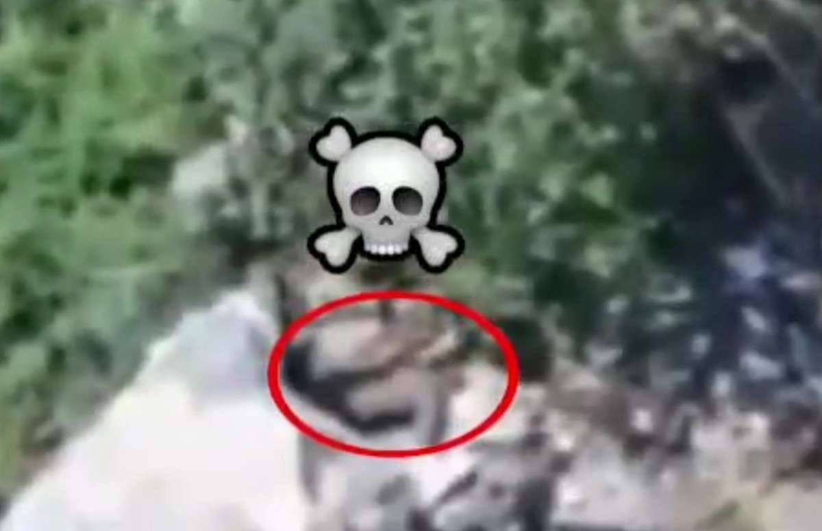 Ukrainian prisoner tries to escape and is killed, LMAO