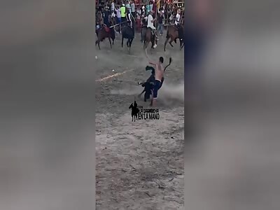 Mister fucked attacked by cruel bull