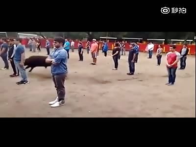 FEELING BRAVE ARE YA