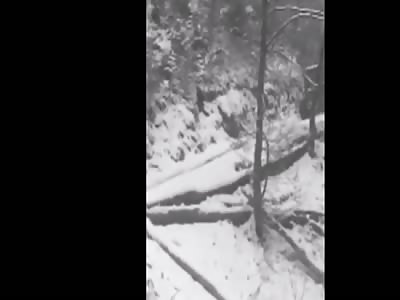 Unexpected accident - Tractor crash