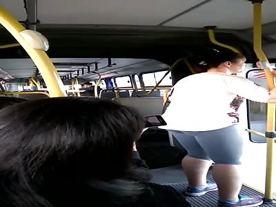 Accordion Bus Breaks