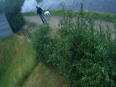 Man caught on CCTV whipping and punching dog in brutal attack