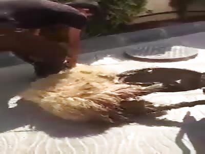 the asshole of the day