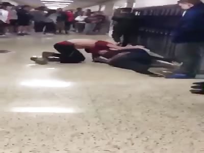 A little tussle in the morning