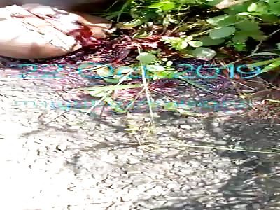 killing civilian by army continue in Cameron