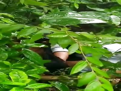 couple caught fucking in forest