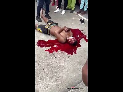 death just collects its usual toll