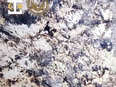 Soldier Gives the Finger and Blows Himself up