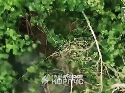 Dead Russians comp III (August 11, 2025)