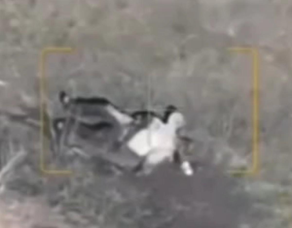 Not a painless death. 