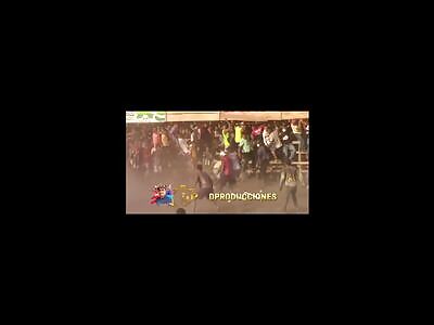 new brutal avenger of bulls