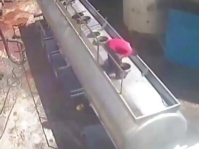 Life Is Brutal Sometimes #2 (Compilation)