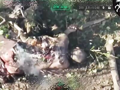 Dead Russians comp II (August 24, 2025)