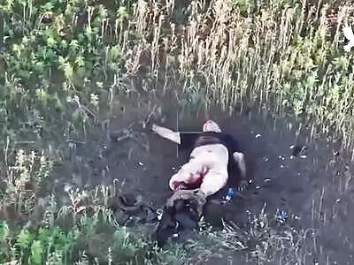 Russians are being torn to pieces.