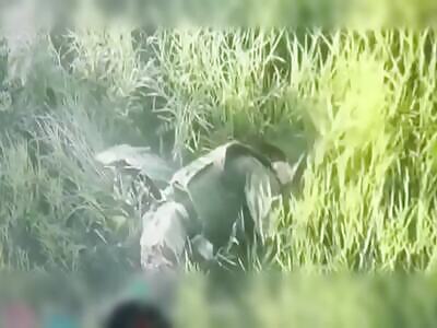 A dumb vatnik can't kill himself. A slow and painful death.